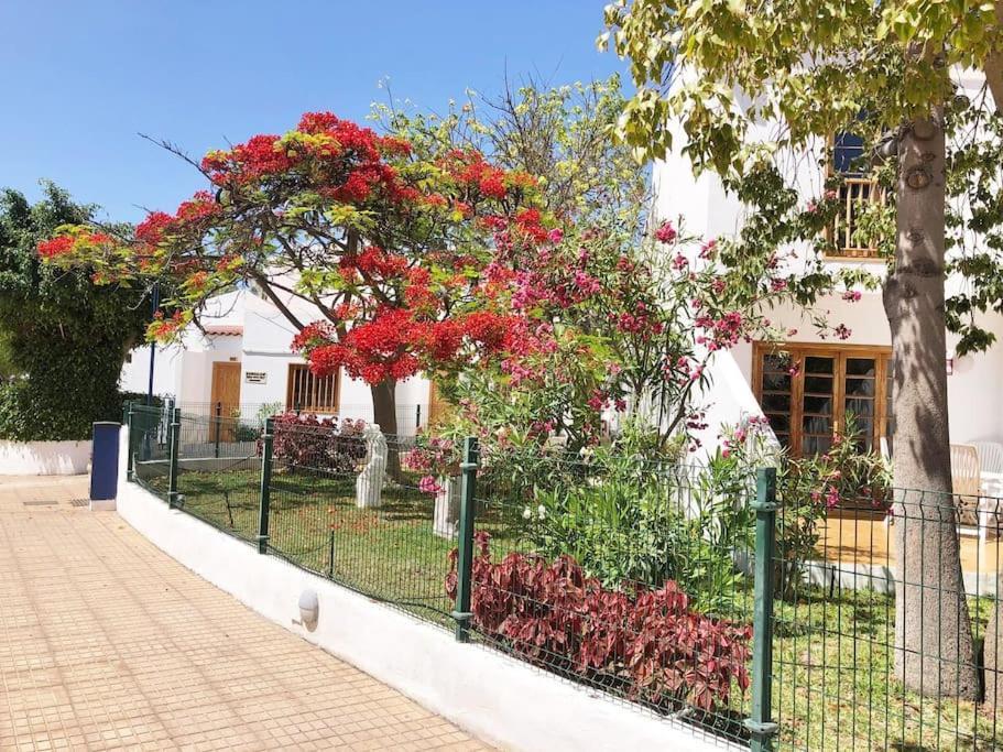 Apartamento Lucia Garden City Con Piscina Climatizada Playa Feñabe Exteriér fotografie