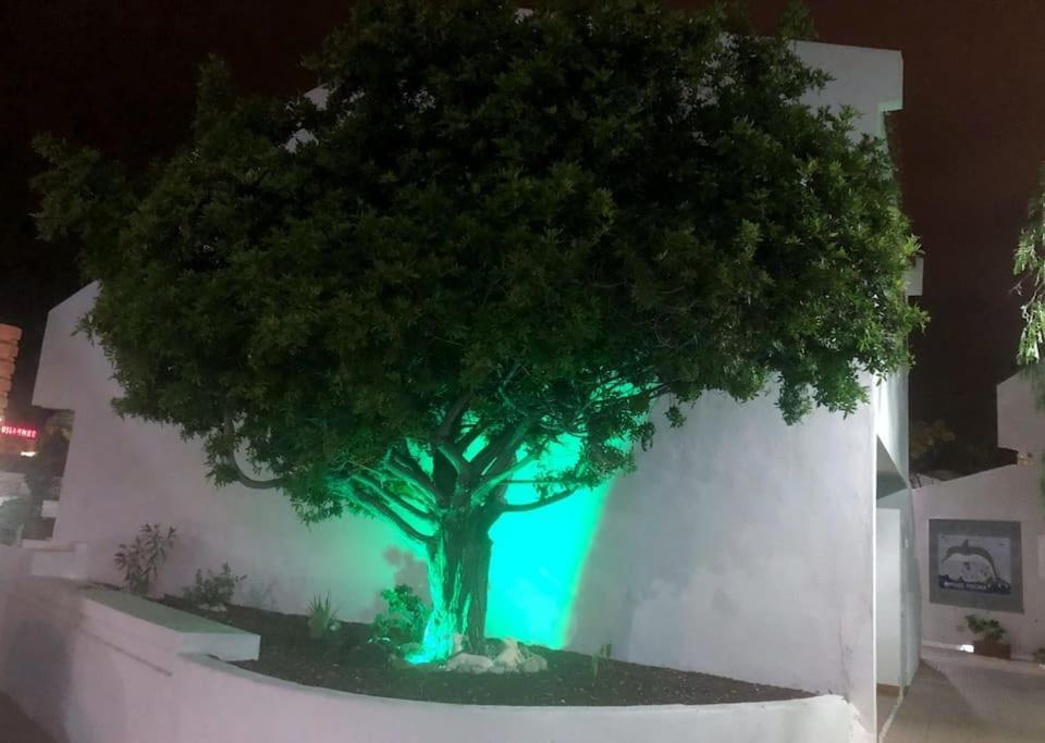 Apartamento Lucia Garden City Con Piscina Climatizada Playa Feñabe Exteriér fotografie