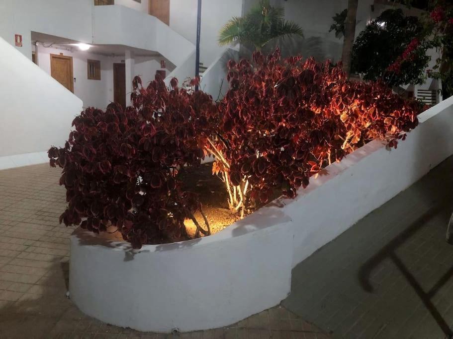 Apartamento Lucia Garden City Con Piscina Climatizada Playa Feñabe Exteriér fotografie