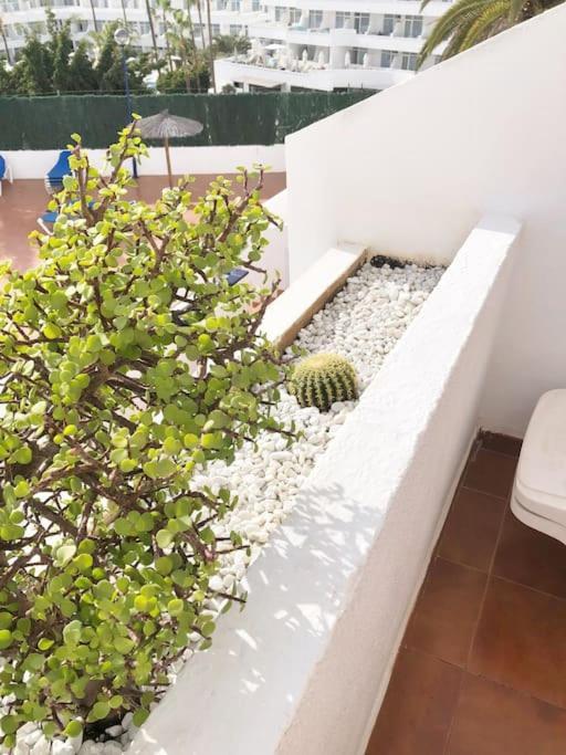 Apartamento Lucia Garden City Con Piscina Climatizada Playa Feñabe Exteriér fotografie