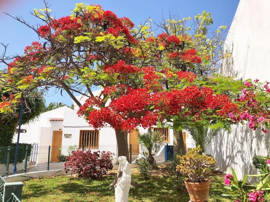 Apartamento Lucia Garden City Con Piscina Climatizada Playa Feñabe Exteriér fotografie