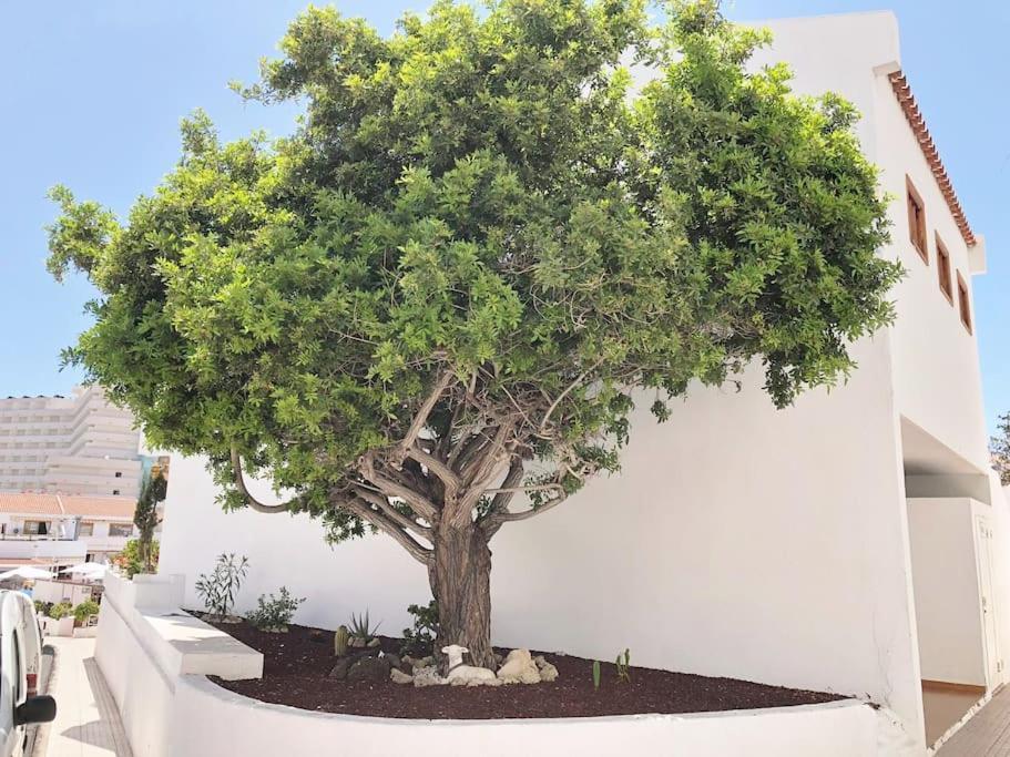 Apartamento Lucia Garden City Con Piscina Climatizada Playa Feñabe Exteriér fotografie
